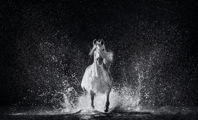 David Yarrow, ‘The Shape of Water’, 2020, Photography, Archival Pigment Print, Hilton Asmus