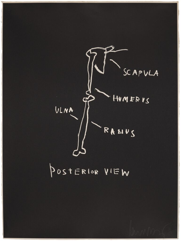 Jean-Michel Basquiat - Posterior View, from Anatomy