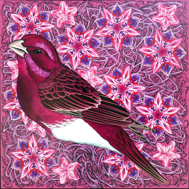 Kevin Veara, ‘Exult #50 Purple Finch’, 2019, Springfield Art Association