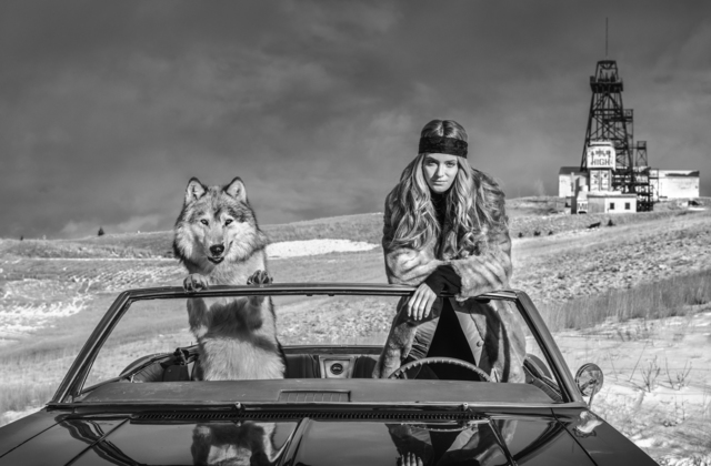 David Yarrow, ‘Mile High Club’, 2020, Photography, Archival Pigment Print, Samuel Lynne Galleries