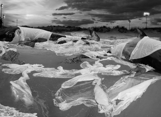 Anthony Goicolea, ‘Sleeping Giants’, 2011, Drawing, Collage or other Work on Paper, Lambda print on dibond with anti-reflex Perspex, Galerie Ron Mandos