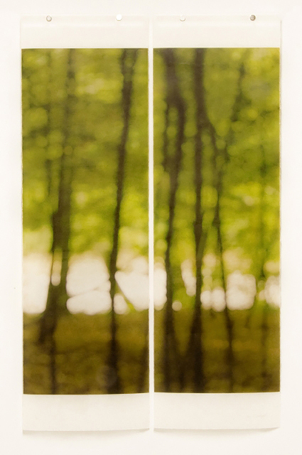 Jeri Eisenberg, ‘Towards the Stream’, 2009, Carrie Haddad Gallery