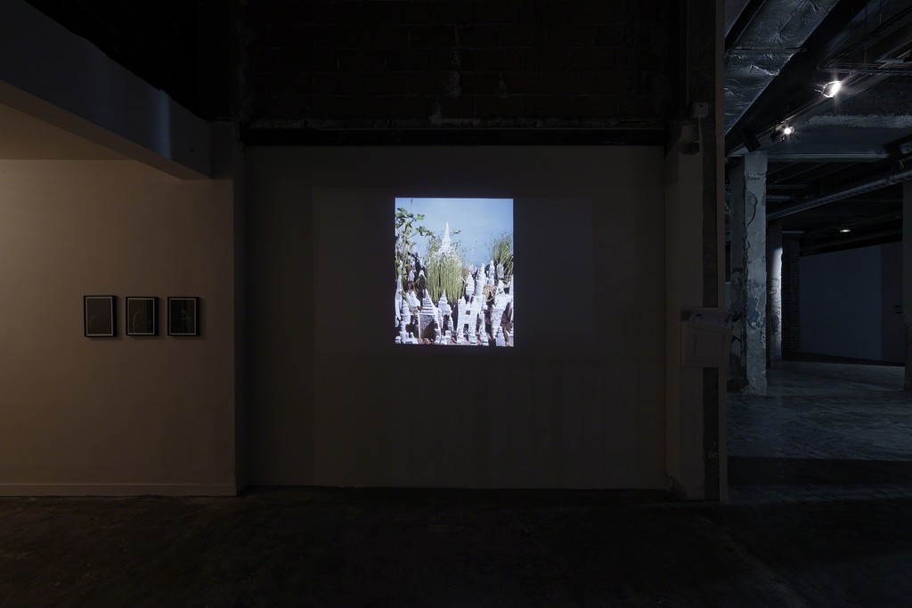 View of Clément Richem's exhibition, Palais de Tokyo, 2015. Photo : Aurélien Mole. View of Clément Richem's exhibition, Palais de Tokyo, 2015. Photo : Aurélien Mole.