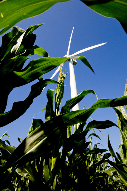 Alan Montgomery, ‘Dual Energy’, 2008, Foto Relevance