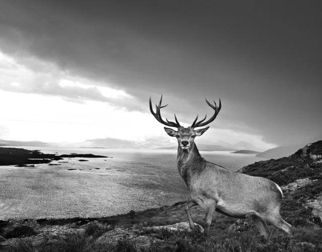 David Yarrow, ‘Over the Sea to Skye’, 2017, Hilton Asmus