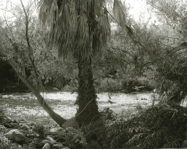 Mark Ruwedel, ‘LA River/Glendale Narrows #31’, 2017, Photography, Gelatin silver print dry-mounted to archival board, Gallery Luisotti
