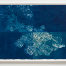 Andrea Chung