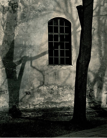 Roman Loranc, ‘Shadow Play’, 2008, Weston Gallery