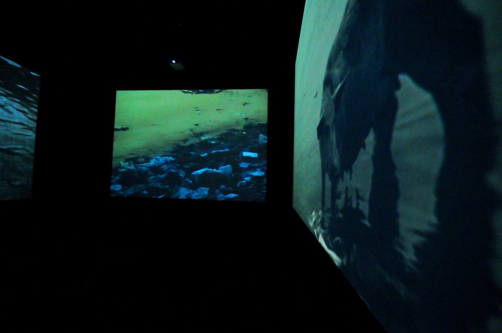 Installation view: Chittrovanu Mazumdar, Untitled, 2009 Installation view: Chittrovanu Mazumdar, Untitled, 2009