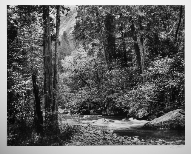 Ansel Adams, ‘Tenaya Creek, Dogwood, Rain, Yosemite National Park’, 1948, Photography West Gallery