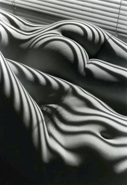 Lucien Clergue, ‘Two Zebra Nudes, New York’, 2005, Jackson Fine Art