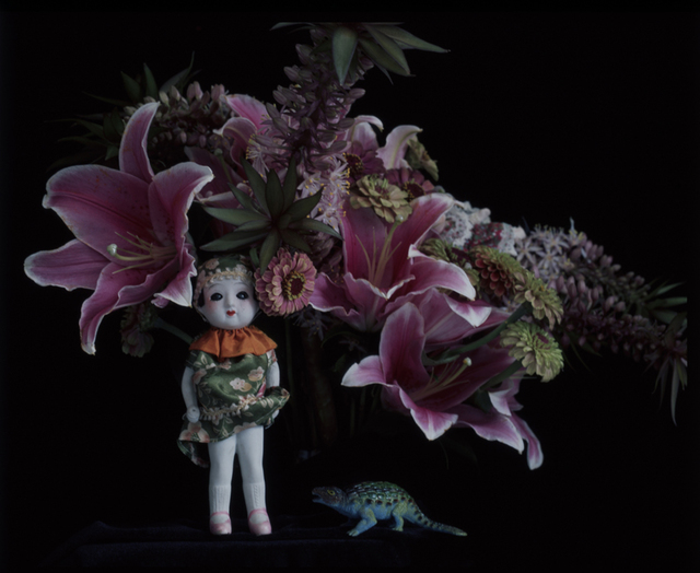 Nobuyoshi Araki, ‘qARADIS’, 2014, Foam Fotografiemuseum Amsterdam