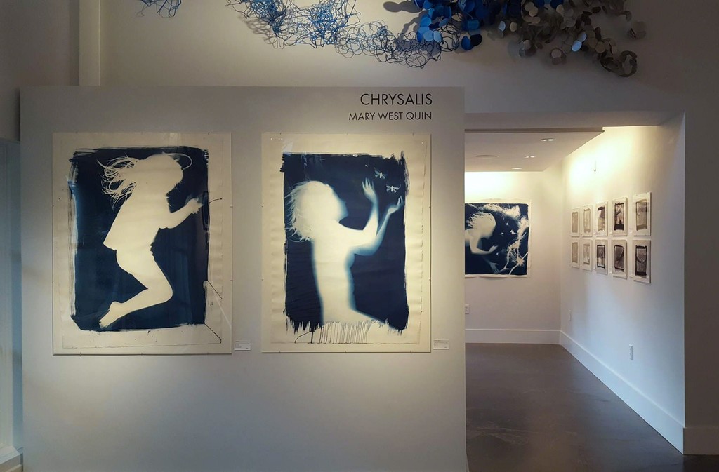 Left to Right:
"Impression", Mary West Quin, Cyanotype, 44" x 32"
"Chrysalis Study II", Mary West Quin, Cyanotype, 44" x 32"
"Chrysalis Study I", Mary West Quin, Cyanotype, 42" x 44"
Paper Wall Sculpture by Barbara Owen Left to Right:
"Impression", Mary West Quin, Cyanotype, 44" x 32"
"Chrysalis Study II", Mary West Quin, Cyanotype, 44" x 32"
"Chrysalis Study I", Mary West Quin, Cyanotype, 42" x 44"
Paper Wall Sculpture by Barbara Owen