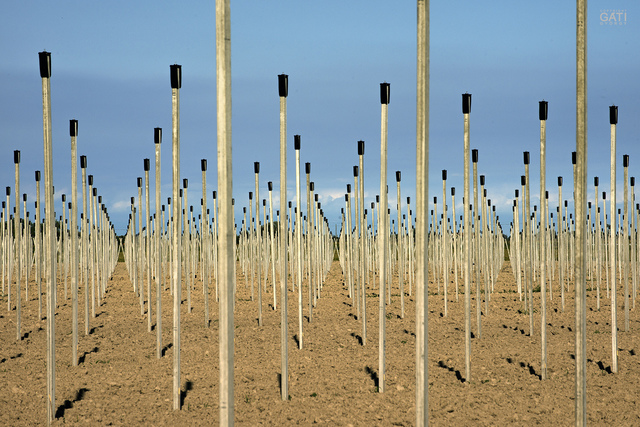 György Gáti, ‘Foil Tent Poles’, Faur Zsofi Gallery
