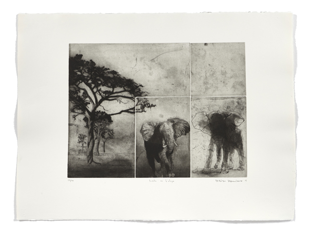 Frédéric Desaulniers, ‘Fenêtre sur l'Afrique’, 2007, Atelier-Galerie A.Piroir