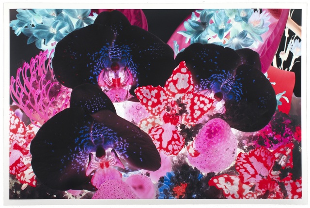 Marc Quinn, ‘At the Far Edges of the Universe 1 ’, 2010, Maddox Gallery