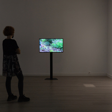 Janusz Łukowicz, Score 1  (2018 )