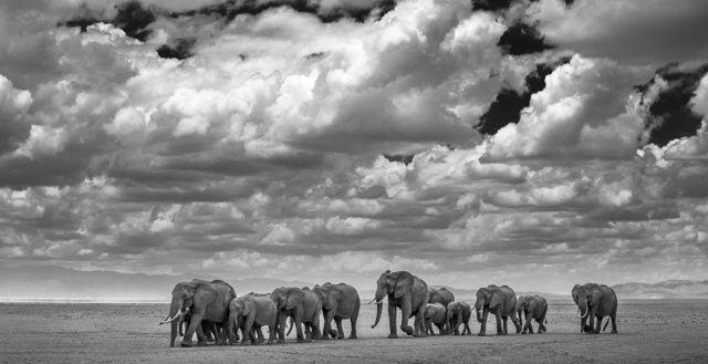 David Yarrow, ‘The Waterboys’, 2015, Hilton Asmus