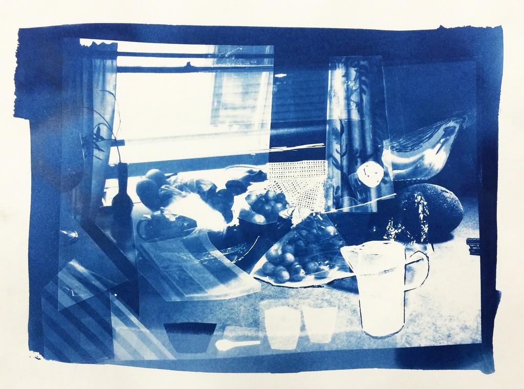 Emily Gui "Still life" 2018, Cyanotype on paper edition of 20, 9 x 12 inches Emily Gui "Still life" 2018, Cyanotype on paper edition of 20, 9 x 12 inches