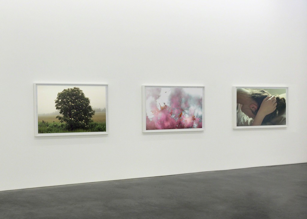 Matane 1 by Le Pigeon - Pursuit of Hapiness 002 by Martina + Reem Matane 1 by Le Pigeon - Pursuit of Hapiness 002 by Martina + Reem