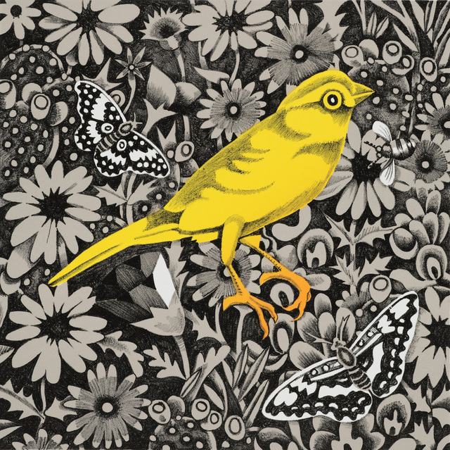 Billy Hassell, ‘Canary’, 2019, Conduit Gallery