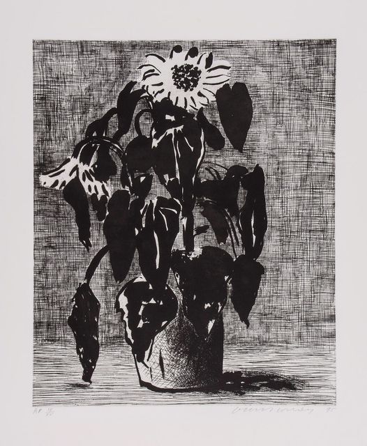 David Hockney, ‘Sunflower I’, 1995, Print, Etching, Mr & Mrs Clark’s