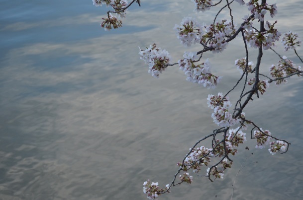 Liz Ashe, ‘Harmony (Heiwa)’, ca. 2019, Zenith Gallery