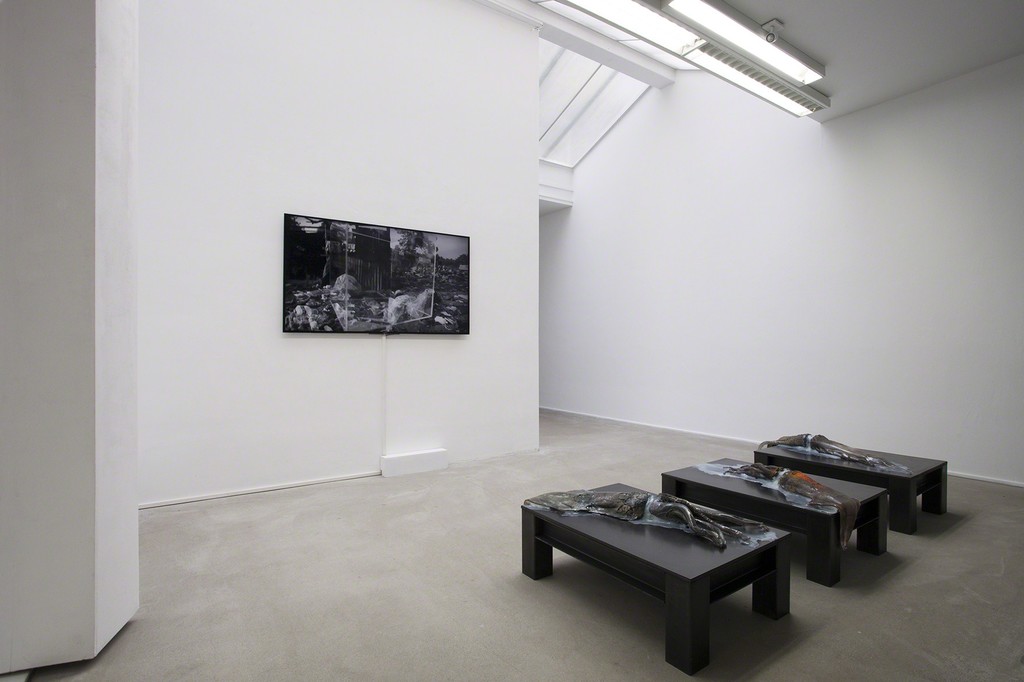 Anne Wenzel, 'Nightfall series' and video film 'Ghost of Modernity' by Miguel Angel Rios in Lubricated Language, photo Wytske van Keulen Anne Wenzel, 'Nightfall series' and video film 'Ghost of Modernity' by Miguel Angel Rios in Lubricated Language, photo Wytske van Keulen