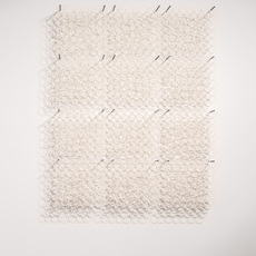 Brian Caponi