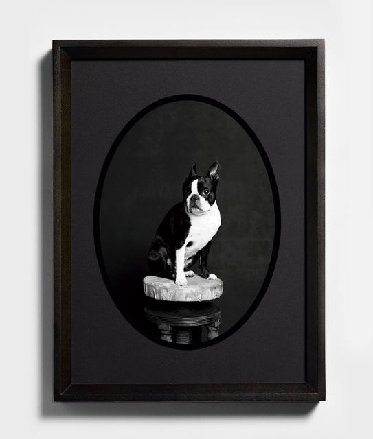 Bettina von Zwehl, ‘Lillie I’, 2016, Purdy Hicks Gallery