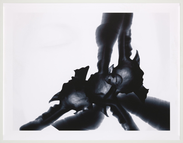 Instant IV — Agnès Guillaume (2014)
