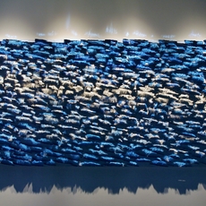 Yong R. Kwon