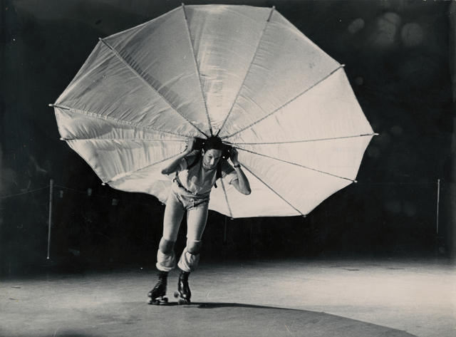 Robert Rauschenberg, ‘Pelican by Robert Rauschenberg’, 1965, Lee Gallery