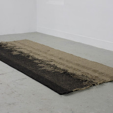 Bram van Breda