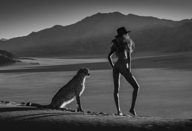 David Yarrow, ‘African Tails’, 2017, Photography, 315gsm Hahnemühle photo rag Baryta paper, Isabella Garrucho Fine Art