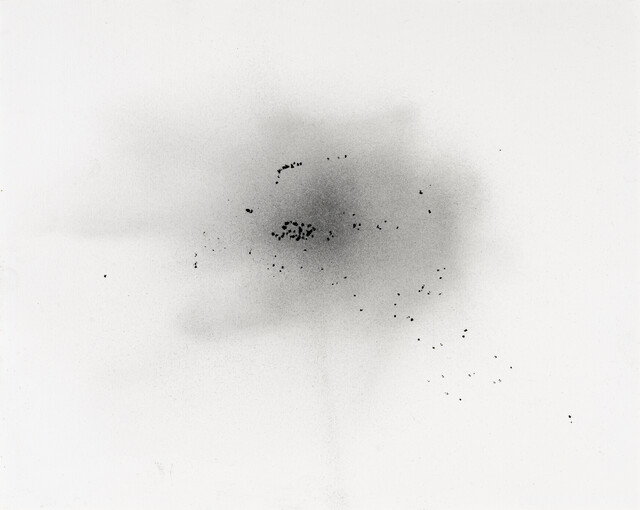 ''Dust'' Series — Çağla Köseoğulları (2023)