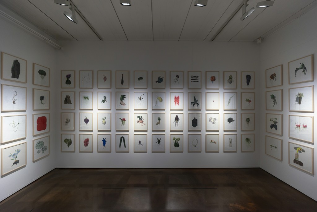 Installation view of Botanimal Garden, ARARIO GALLERY, Seoul, Korea Installation view of Botanimal Garden, ARARIO GALLERY, Seoul, Korea