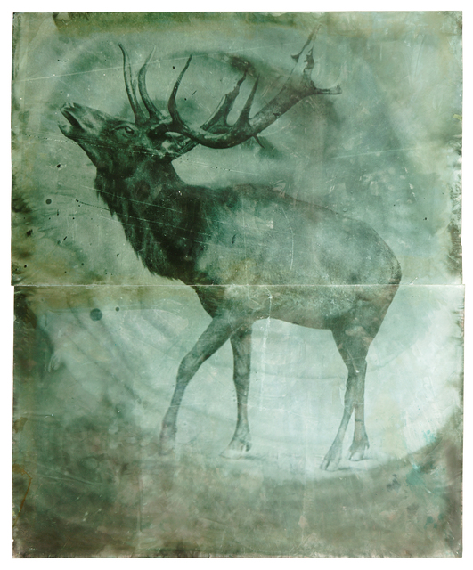 Johannes Brus, ‘Hirsch’, 2008, Galerie Judith Andreae