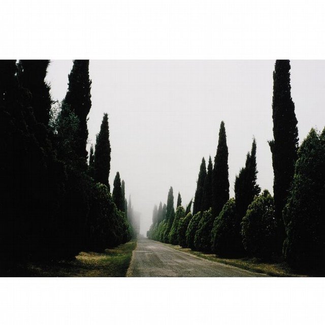 Joel Meyerowitz, ‘Tuscany, Castello, 1996’, 1996, Lions Gallery