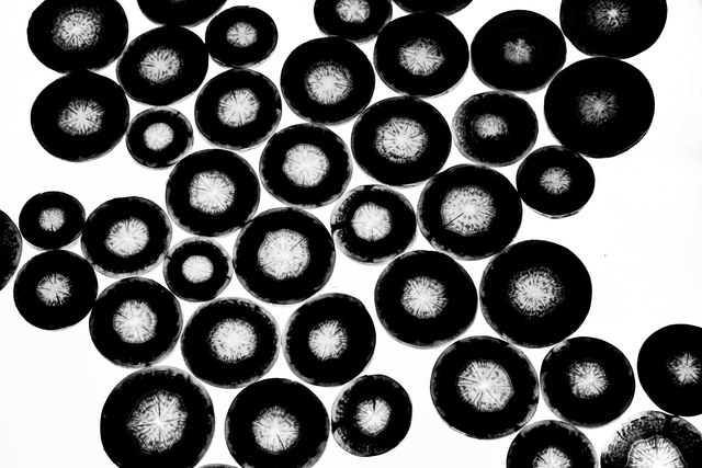 Takamitsu Sakamoto, ‘Breath of life on black No.35’, 2019, Print, Lumont printing, MvVO ART