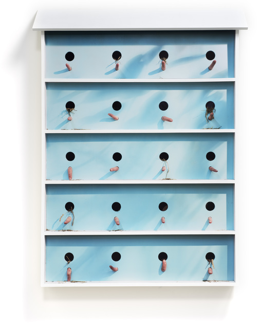 Anthony Lepore, ‘The Early Worm’, 2019, Moskowitz Bayse