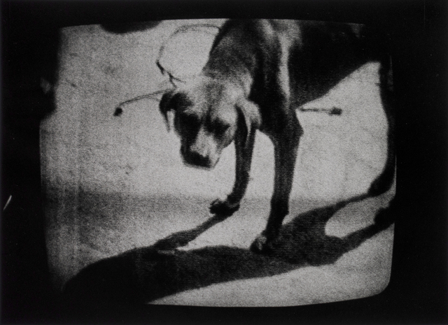 Daido Moriyama, ‘New York City’, 1972, Michael Hoppen Gallery