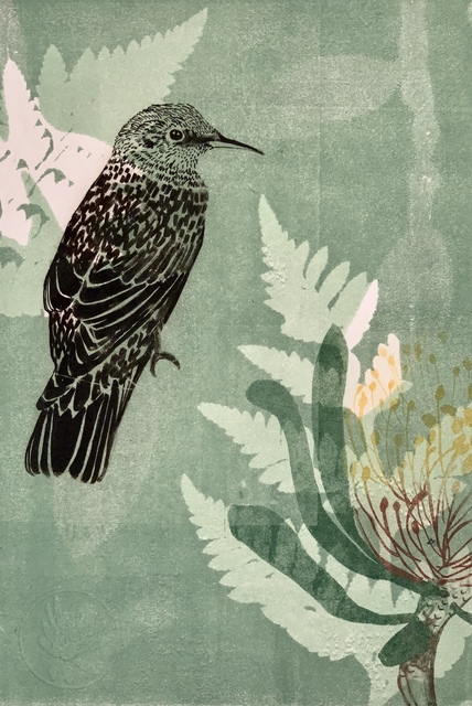 Trudy Rice, ‘Baby Wattle bird and Waratah flower’, 2019, Print, Solarplate Etching & Monotype, MELBOURNE STUDIOS #trudyrice & #lisasewards