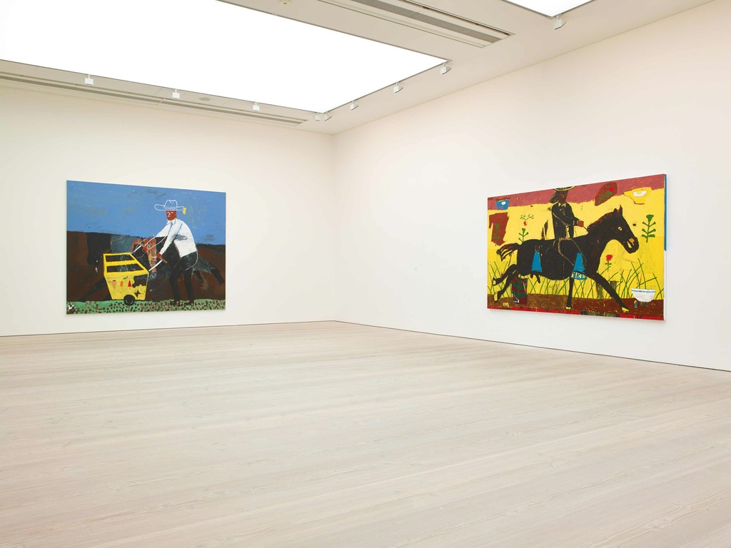 Installation view, Danny Fox
© Steve White, 2017 Installation view, Danny Fox
© Steve White, 2017