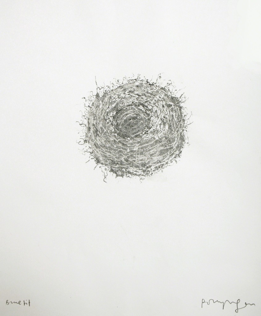Polly Morgan - Blue Tit, 2012 (nest). Photo courtesy of the artist. Polly Morgan - Blue Tit, 2012 (nest). Photo courtesy of the artist.