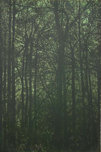 Stephen March, ‘Untitled (Forest)’, 2014, Amos Eno Gallery