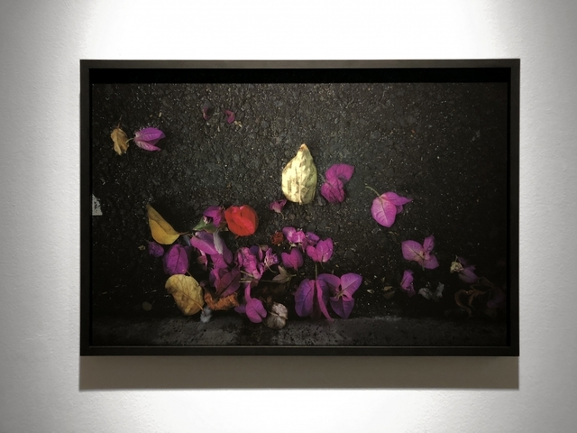 Giovanni Ozzola, ‘Diciannove Gennaio’, 2018, Photography, Giclée print on cotton paper, Dibond, framed, GALLERIA CONTINUA