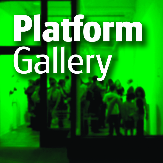 Platform Gallery logo