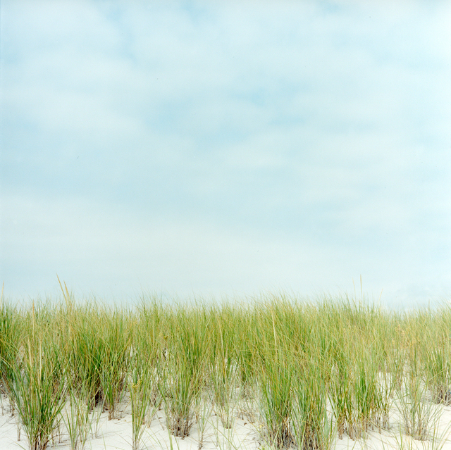 Maria Passarotti, ‘Dunes’, 2005, Susan Eley Fine Art
