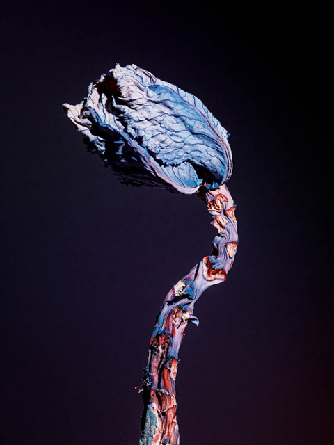 JeanVincent 5 Artworks, Bio & Shows on Artsy